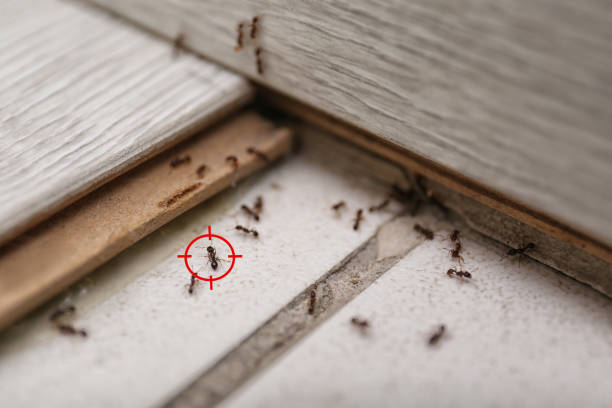 Best Pest Prevention Services  in Bristol, WI