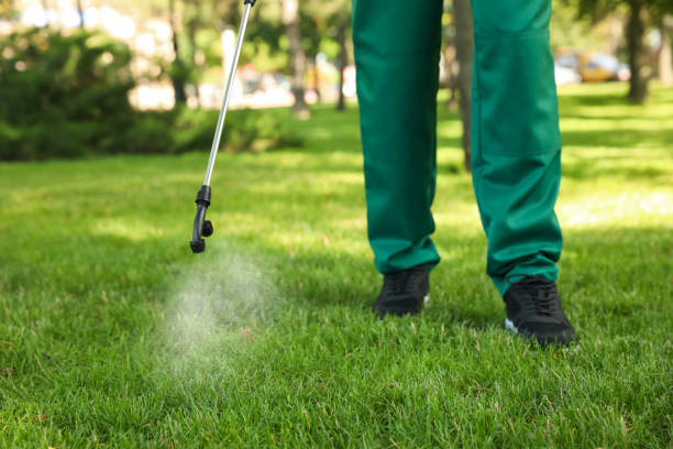 Flea Control Services in Bristol, WI