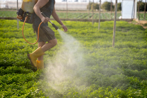 Best Wasp Removal Services  in Bristol, WI