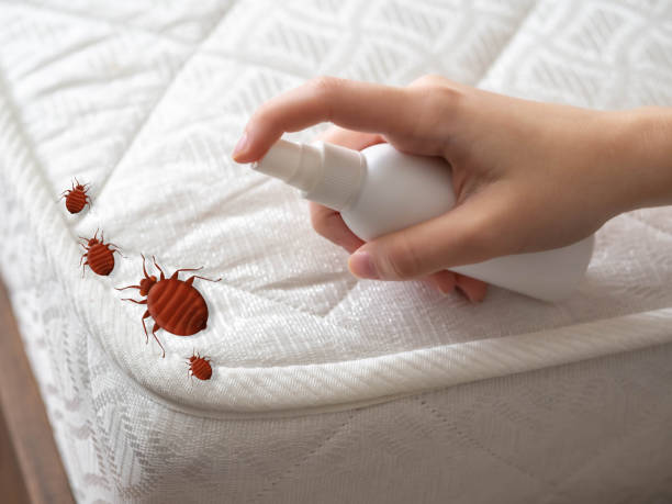 Best Local Pest Control Services  in Bristol, WI