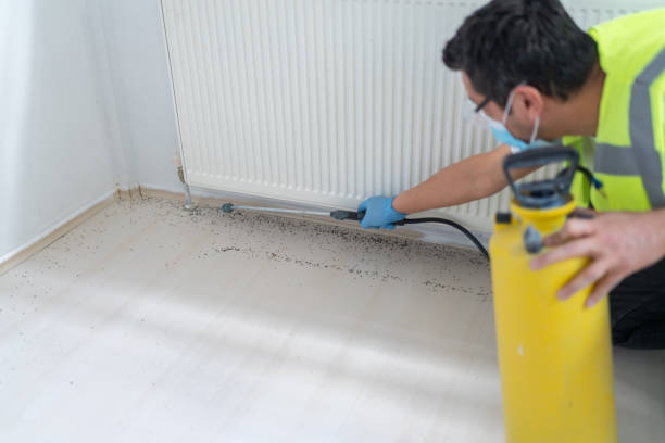 Best Emergency Pest Control  in Bristol, WI
