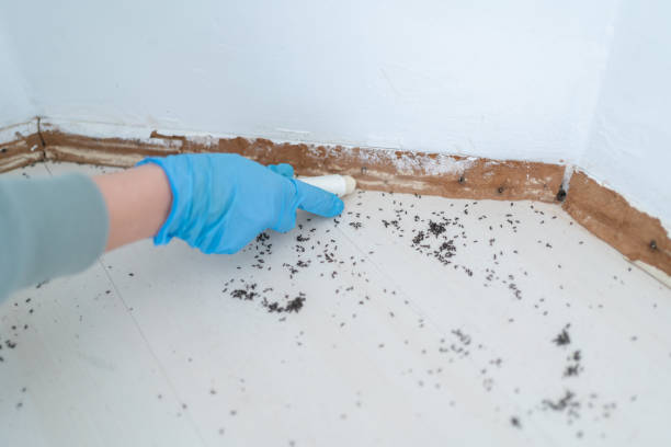 Pest Prevention Services in Bristol, WI